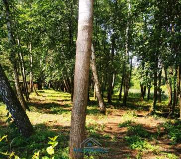 Działka budowlana na sprzedaż, 10904 m2, Anielin Swędowski