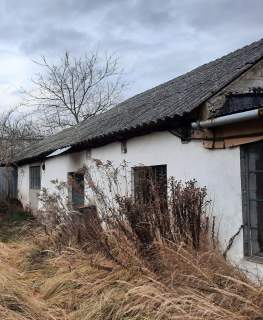 Dom, hala produkcyjna, budynek gospodarczy, działka 0,19 ha