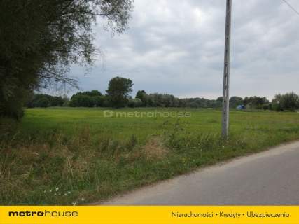 Działka siedliskowa na sprzedaż, 3000 m2, Secymin Polski