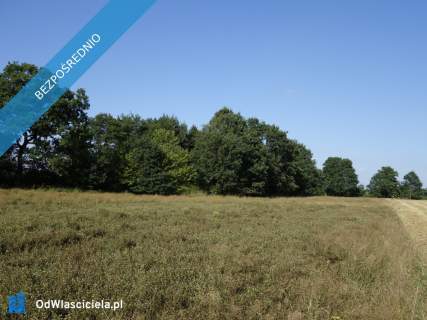 Skoczów Ochaby 57ar nadaje sie po rekreacje strzelnice staw