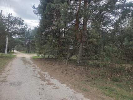Złota, wz 5 domów jedno lub dwulokalowych, media