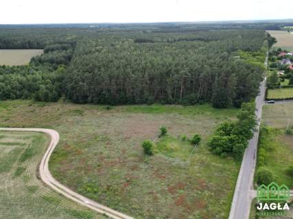 Ostatnia działka z linią lasu w Wudzynie 1428 m2