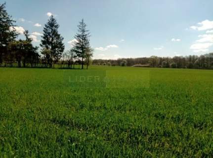 Działka siedliskowa na sprzedaż, 3000 m2, Kępa Kiełpińska