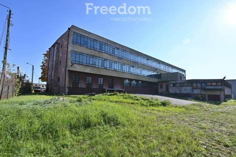 Atrakcyjny lokal inwestycyjny w centrum miasta