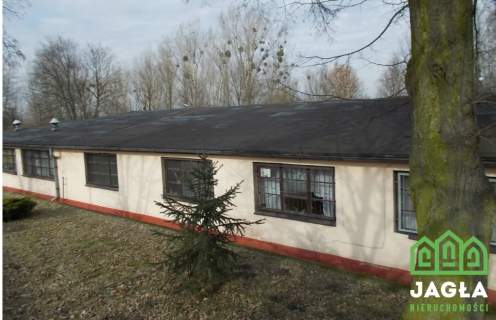Hala produkcyjna 1065m2/3350m2 Kcynia