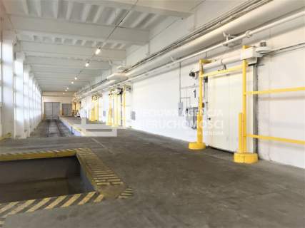 Magazyn na wynajem Gdańsk Nowy Port