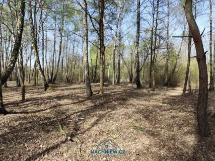 Działka budowlana na sprzedaż, 10904 m2, Anielin Swędowski