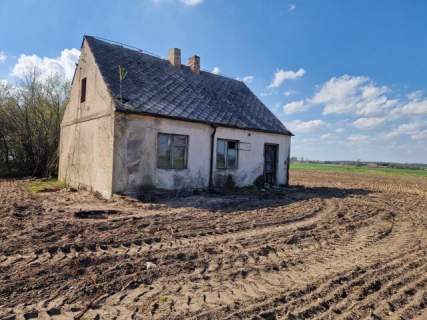 Działka - siedlisko w Arciszewie 2,05 ha gm. Boniewo