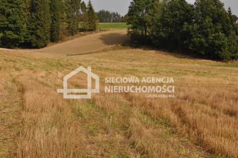 działka w Borku nad jeziorem Gowidlińskim