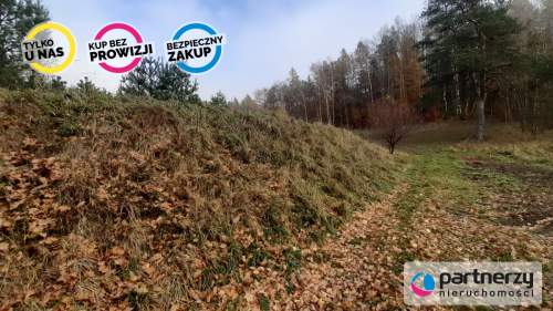 DZIAŁKA z WZ Smętowo Chmieleńskie przy lesie