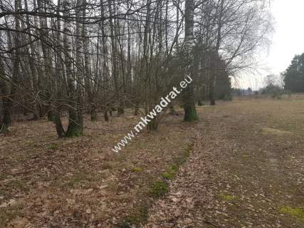działka z planem zagospodarowania