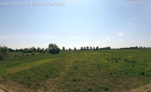 Raszyn, Falenty Duże grunt ok. 9 ha, inwestycyjny