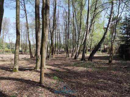 Działka budowlana na sprzedaż, 10904 m2, Anielin Swędowski
