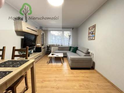 Duże, dwupokojowe mieszkanie na parterze koło parku