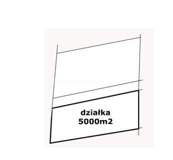 Atrakcyjna działka, 5000 m2 Grzędzice