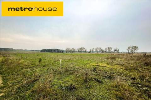 Atrakcyjna działka, 5000 m2 Grzędzice