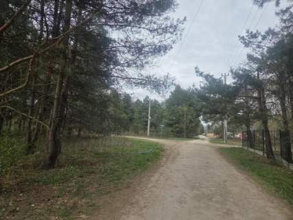 Złota, wz 5 domów jedno lub dwulokalowych, media