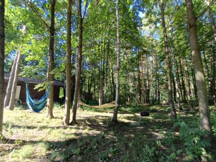 Mazury dom z lasem przy jeziorze Pilna sprzedaż 