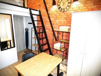 Piotrkowska 37, studio z antresolą i balkonem