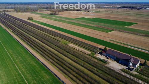 Piękne siedlisko z domem i halą obok Konstancina