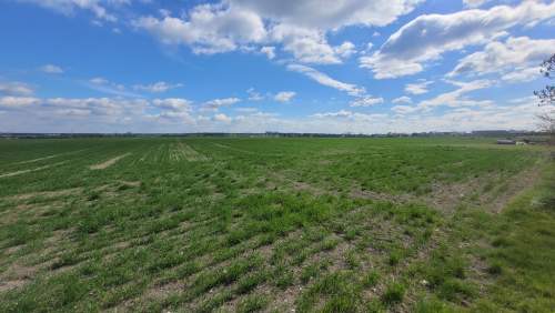Sprzedaż 1,58 ha - budownictwo mieszkaniowe Opole