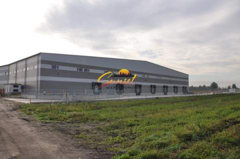 Hala 2760 m2 Pęcice, tylko 29 zł/m2