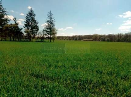 Działka siedliskowa na sprzedaż, 3000 m2, Kępa Kiełpińska