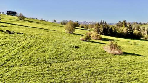 WIDOKOWA DZIAŁKA LEŚNICA 1437 M2, WYDANE WZ