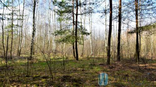 Działka rekreacyjna Ludwinów/Kowalicha