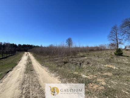 Działka pod budowę domu I 3104 m2 I gm. Lubichowo