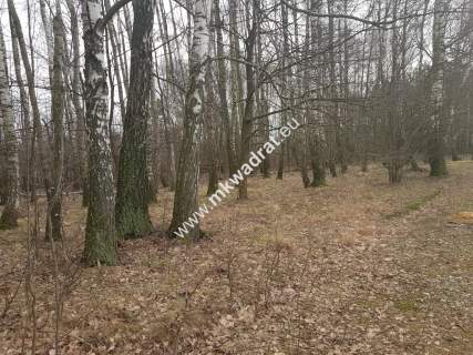działka z planem zagospodarowania