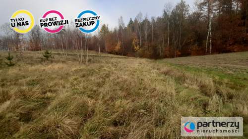 DZIAŁKA z WZ Smętowo Chmieleńskie przy lesie