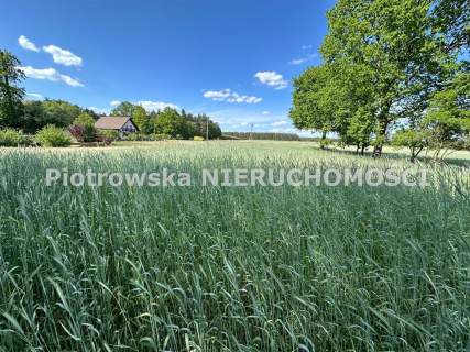 Działka budowlana na sprzedaż, 3006 m2, Kliczków-Kolonia
