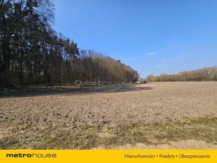 Działka z WZ 3728 m2 w Brzozie gm Wielka Nieszawka