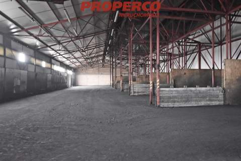 Hala 1600m2 , Czarnów, Kielce