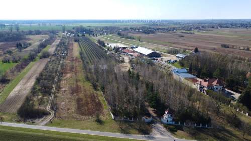 Teren 2,2 ha Czernidła obok Konstancina Jeziorna