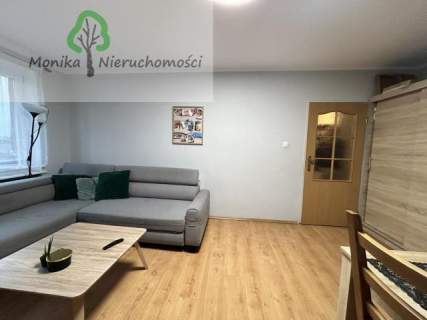 Duże, dwupokojowe mieszkanie na parterze koło parku