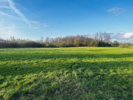 Działka budowlana w Gotówce 1,21ha