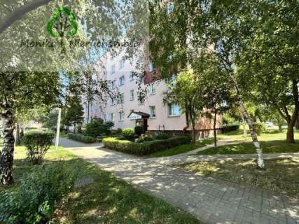 Trzy pokoje z odrębną kuchnia - SUCHOSTRZYGI