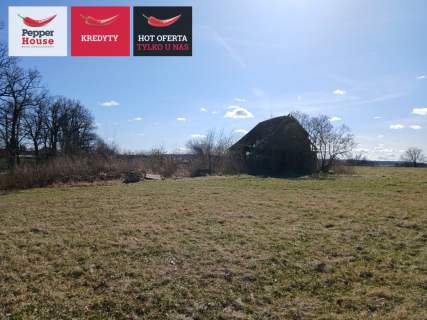 Działka siedliskowa na sprzedaż, 107500 m2, Dobry
