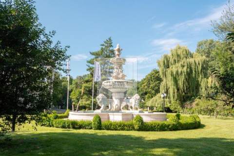Zabytkowy pałac na sprzedaż 25 ha, prywatny park okolice W