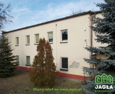 Hala produkcyjna 1065m2/3350m2 Kcynia