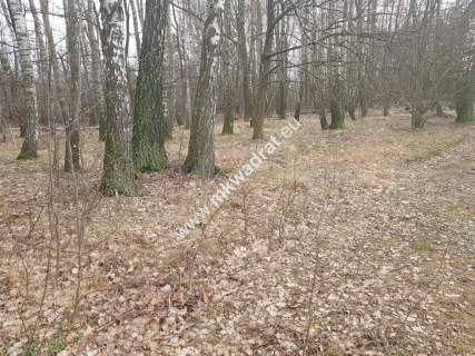 działka z planem zagospodarowania