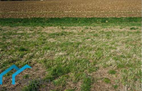 Działka budowlana 800 m2 w Pogwizdowie