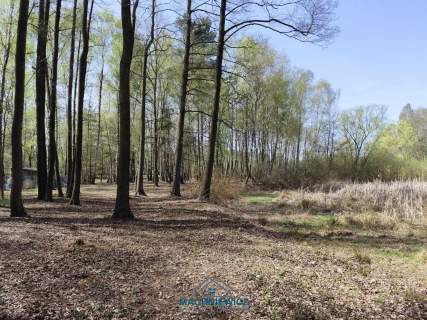 Działka budowlana na sprzedaż, 10904 m2, Anielin Swędowski