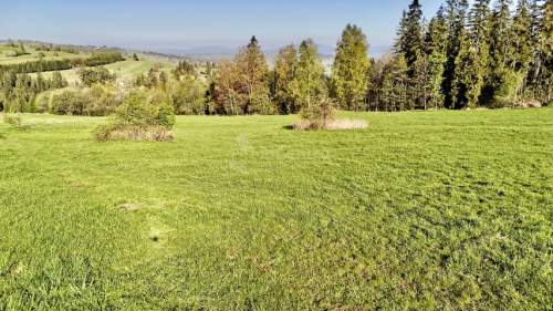 WIDOKOWA DZIAŁKA LEŚNICA 1437 M2, WYDANE WZ