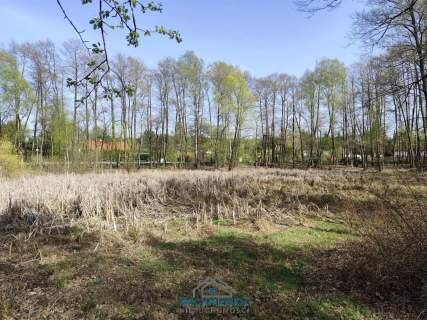 Działka budowlana na sprzedaż, 10904 m2, Anielin Swędowski