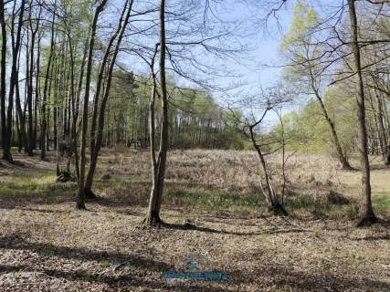 Działka budowlana na sprzedaż, 10904 m2, Anielin Swędowski