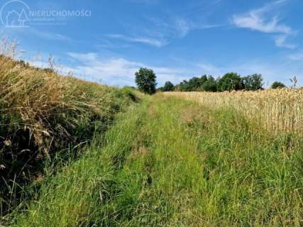 DZIAŁKA ROLNO-LEŚNA 