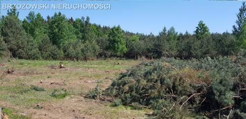 Piskórka, 3000 m2, MPZP, mieszkaniowa